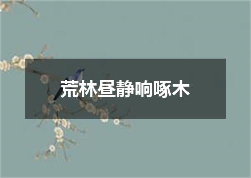 荒林昼静响啄木