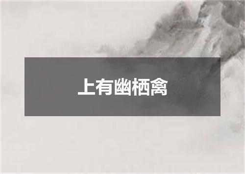 上有幽栖禽