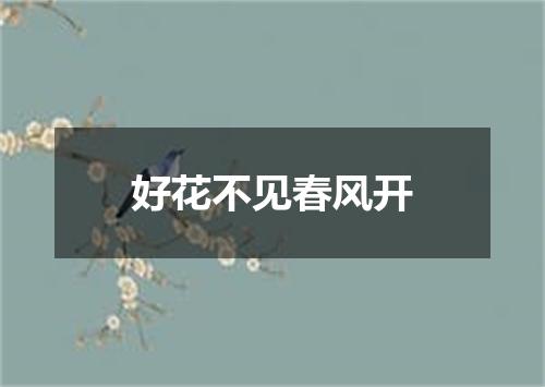好花不见春风开
