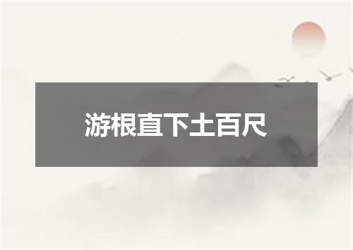 游根直下土百尺