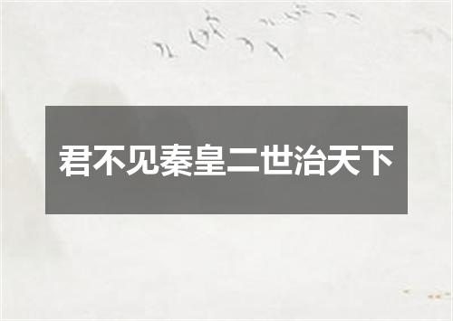 君不见秦皇二世治天下