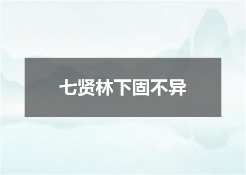 七贤林下固不异