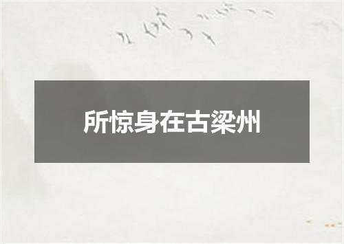 所惊身在古梁州