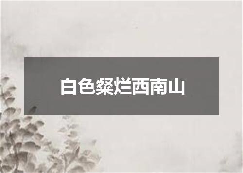 白色粲烂西南山