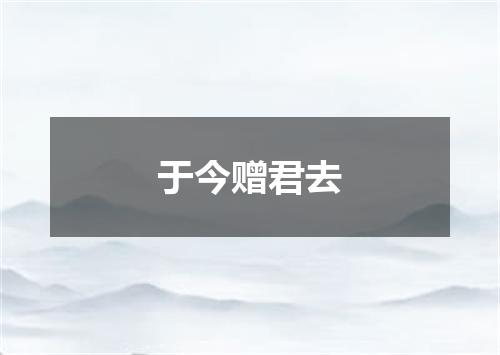 于今赠君去