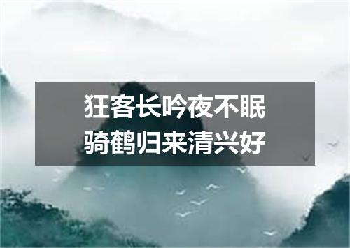 狂客长吟夜不眠骑鹤归来清兴好
