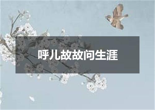 呼儿故故问生涯