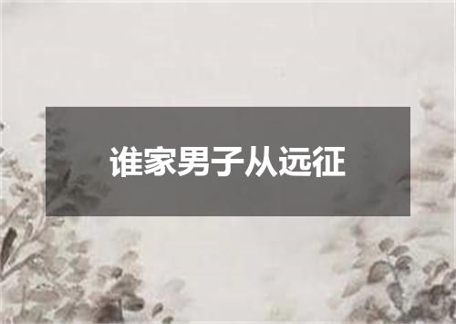 谁家男子从远征