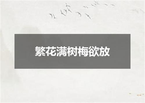 繁花满树梅欲放
