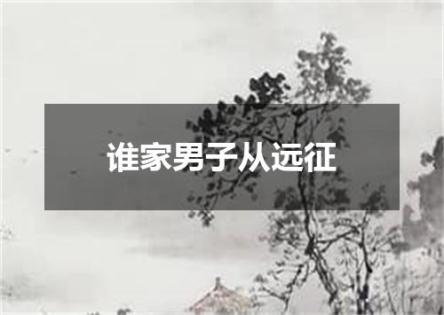 谁家男子从远征