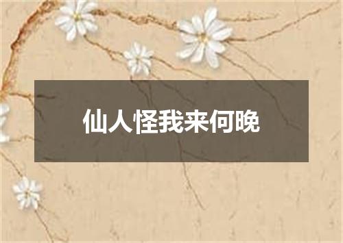 仙人怪我来何晚