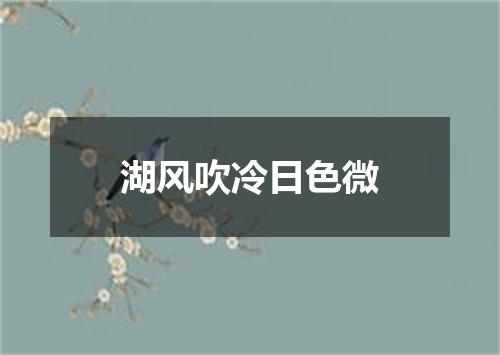 湖风吹冷日色微