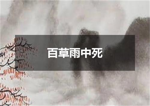 百草雨中死