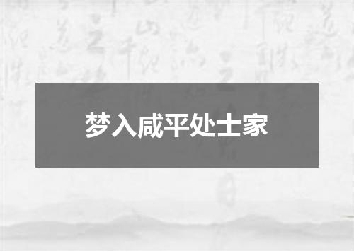 梦入咸平处士家
