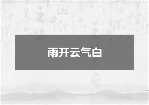 雨开云气白