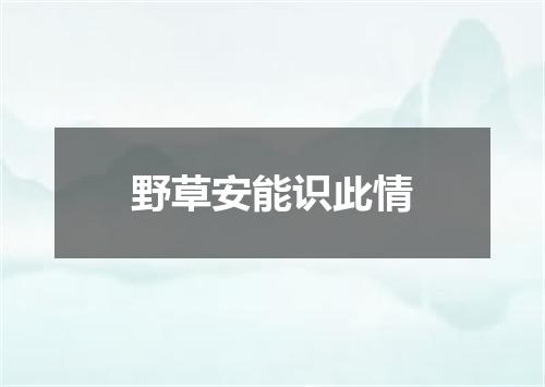 野草安能识此情