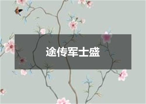 途传军士盛