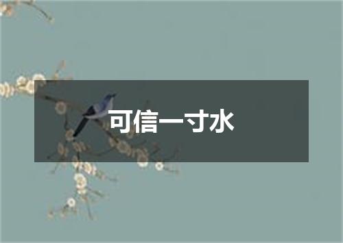 可信一寸水