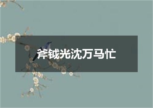 斧钺光沈万马忙