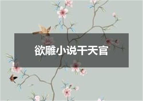 欲雕小说干天官