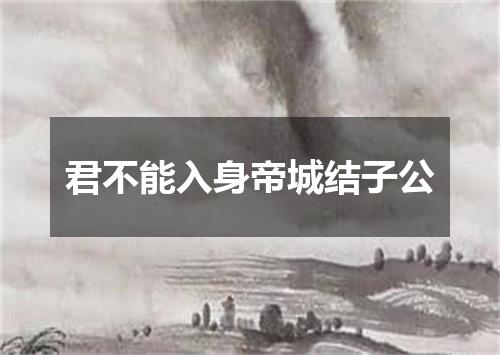 君不能入身帝城结子公