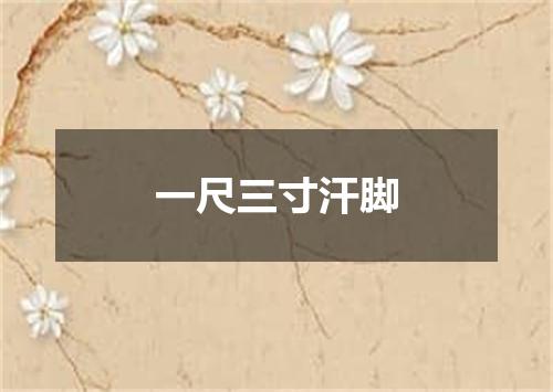 一尺三寸汗脚