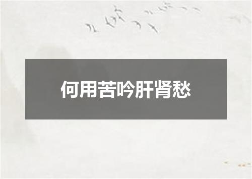 何用苦吟肝肾愁