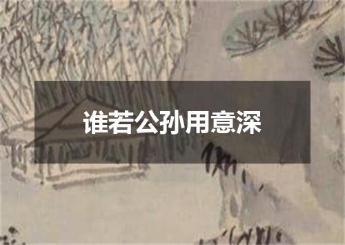 谁若公孙用意深