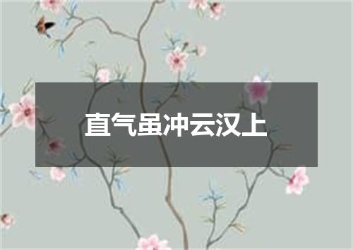 直气虽冲云汉上