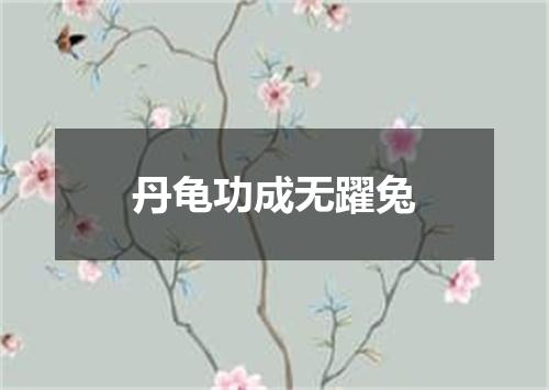丹龟功成无躍兔