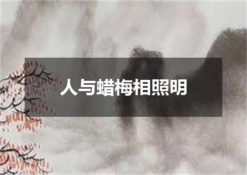 人与蜡梅相照明