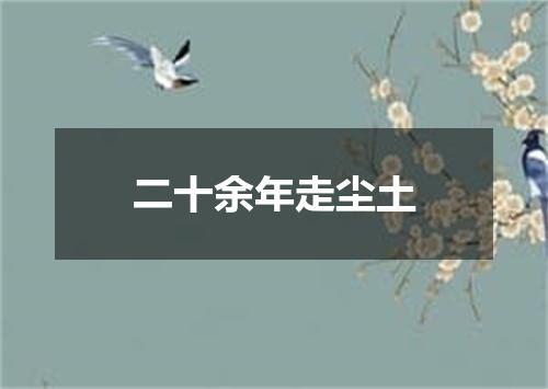 二十余年走尘土