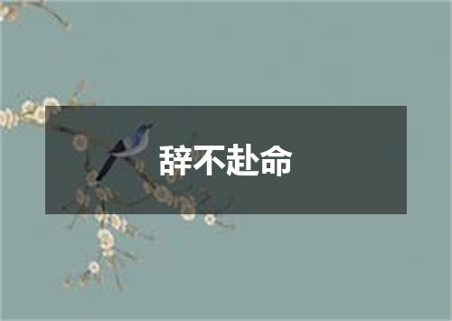 辞不赴命