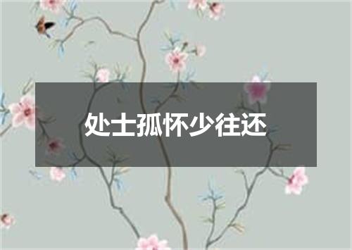 处士孤怀少往还