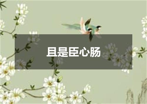 且是臣心肠