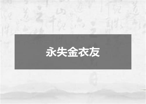 永失金衣友