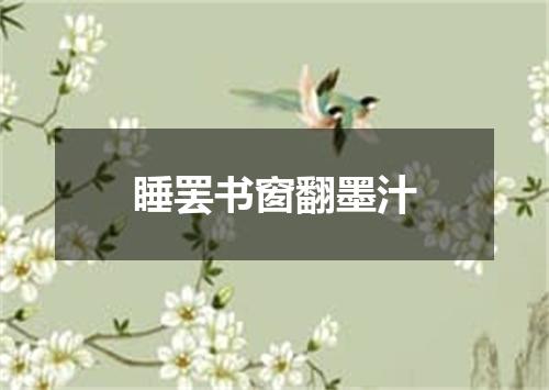 睡罢书窗翻墨汁