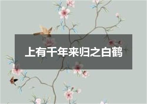 上有千年来归之白鹤