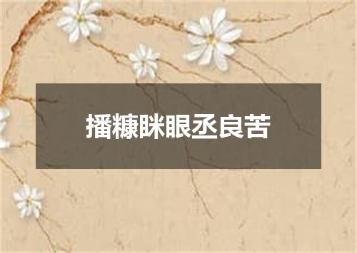播糠眯眼丞良苦