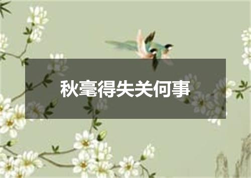 秋毫得失关何事