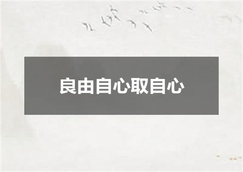 良由自心取自心