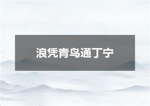 浪凭青鸟通丁宁