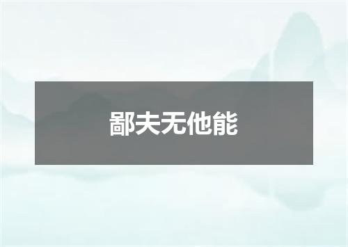 鄙夫无他能