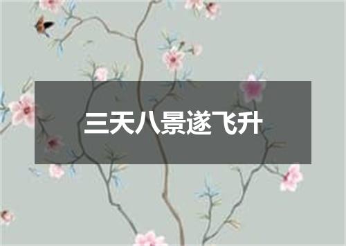 三天八景遂飞升