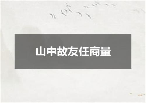 山中故友任商量