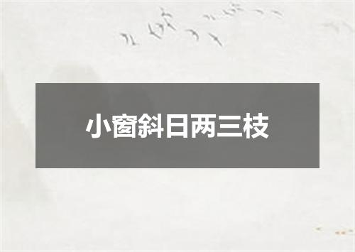 小窗斜日两三枝