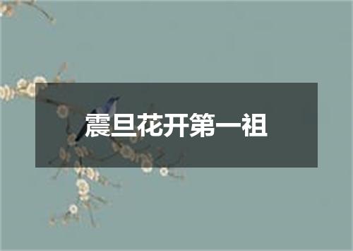 震旦花开第一祖