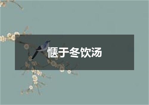 惬于冬饮汤