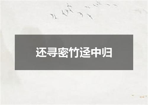 还寻密竹迳中归