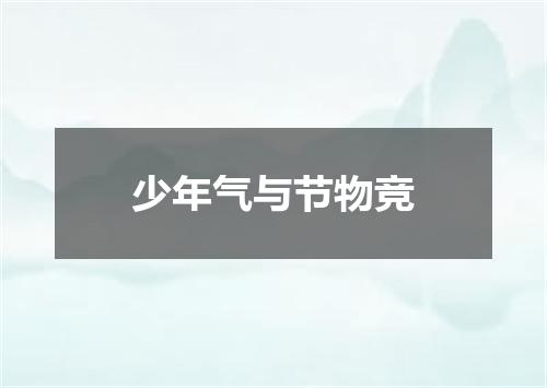 少年气与节物竞